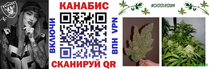 Шишки марихуана план  Купить закладки  Дюртюли 